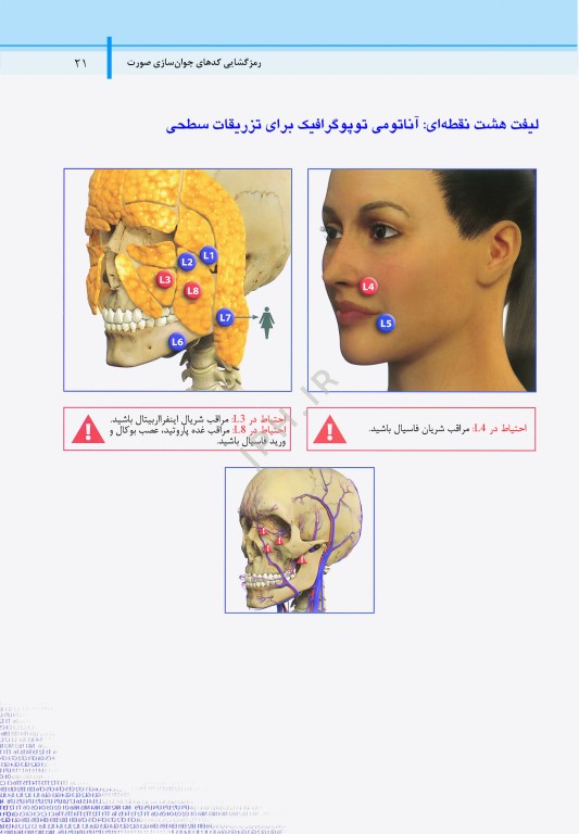 راهنمای گام به گام استفاده از ژل‌های تزریقی به روش MD-Codes جلد دوم