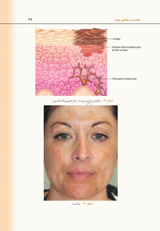 راهنمای کاربردی لایه برداری زیبایی و جوانسازی دارویی پوست دکتر داوود رمزی