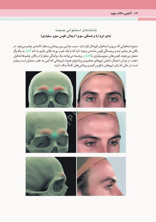 آناتومی حالات چهره بر اساس حرکات و بیان عواطف