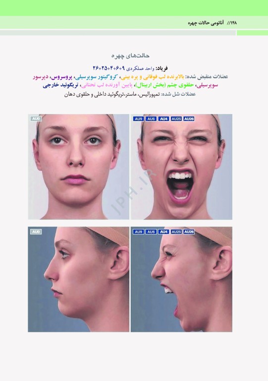 آناتومی حالات چهره بر اساس حرکات و بیان عواطف