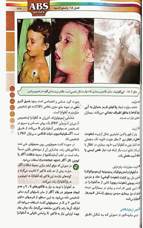 گزیده کتب مرجع ABS باکتری‌شناسی دکتر داوود رمزی