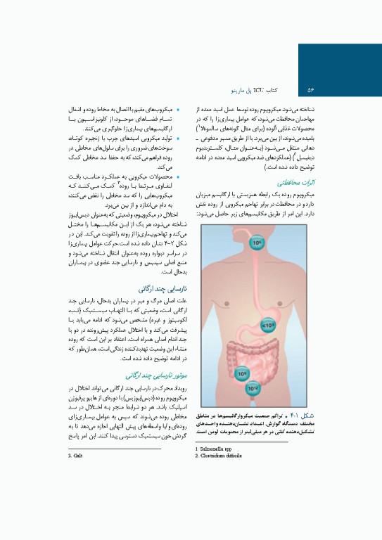 کتاب کامل ICU پل مارینو 2025