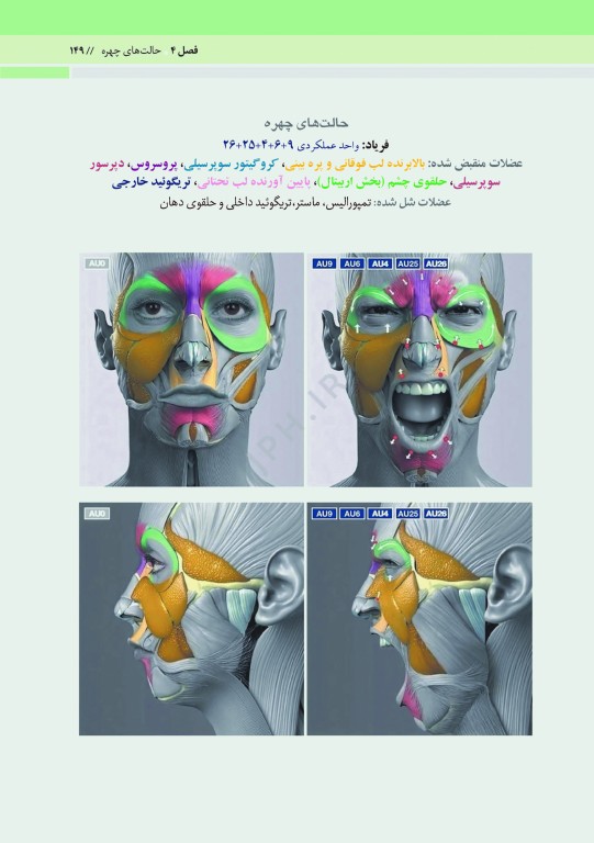 آناتومی حالات چهره بر اساس حرکات و بیان عواطف