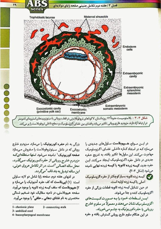 گزیده کتب مرجع ABS جنین‌شناسی دکتر داوود رمزی