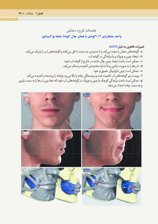 آناتومی حالات چهره بر اساس حرکات و بیان عواطف