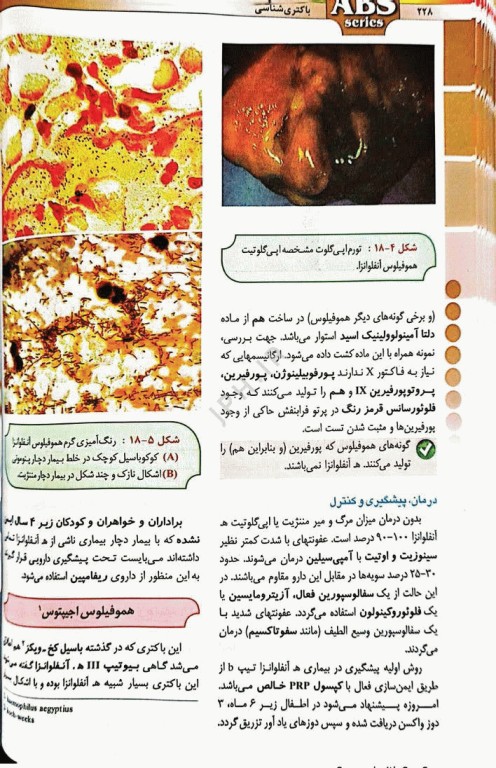 گزیده کتب مرجع ABS باکتری‌شناسی دکتر داوود رمزی