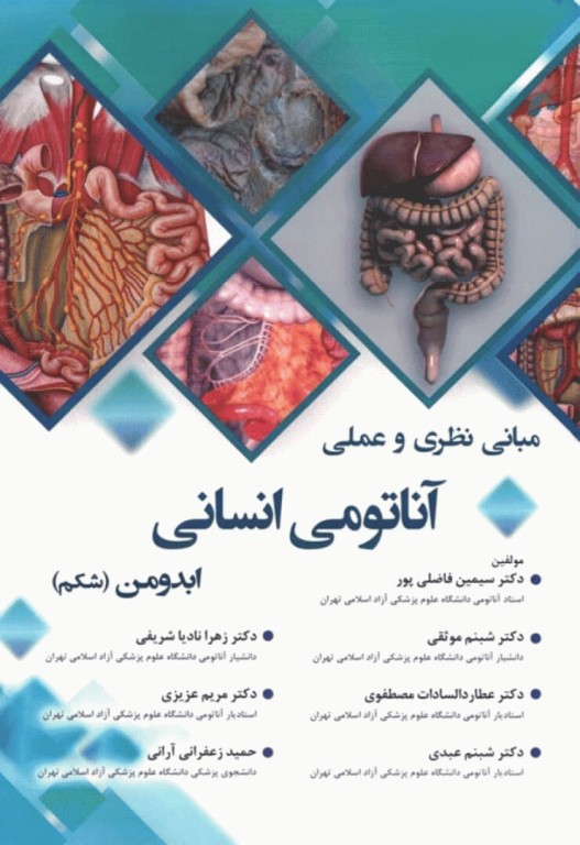 مبانی نظری و عملی آناتومی انسانی ابدومن (شکم)