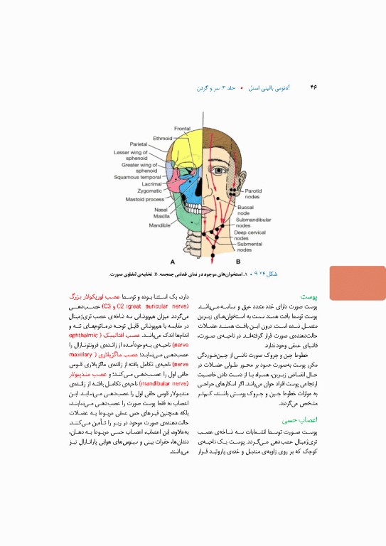 آناتومی بالینی اسنل 2025 جلد سوم سروگردن