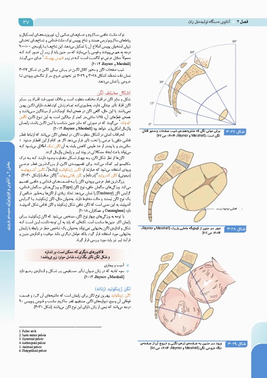 درسنامه بارداری و زایمان براساس برنامه آموزشی کارشناسی و کارشناسی ارشد مامایی