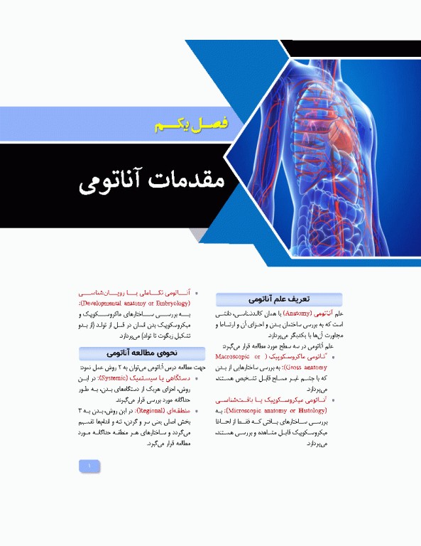 آناتومی برای فوریت‌های پزشکی با رویکرد بالینی