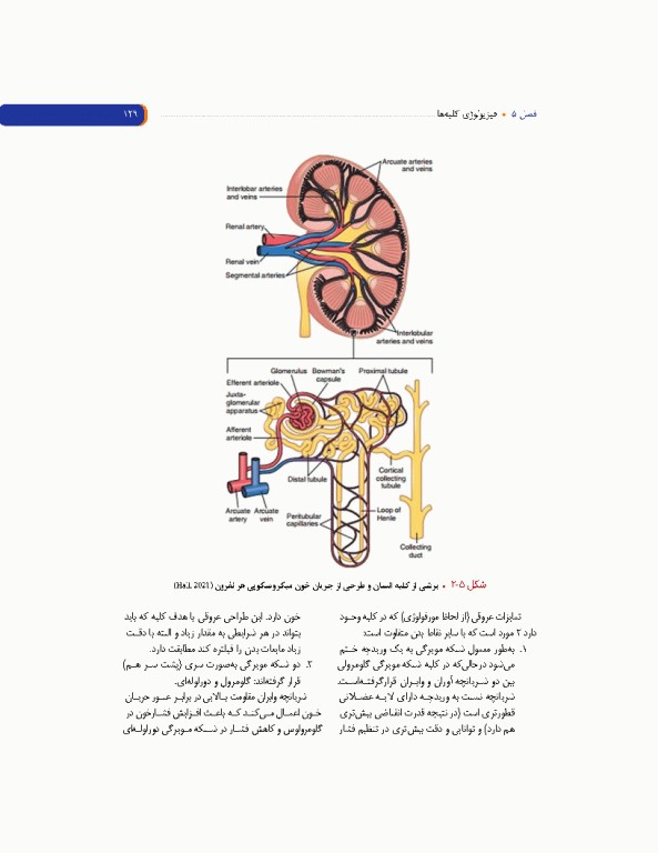 مروری بر فیزیولوژی پزشکی
