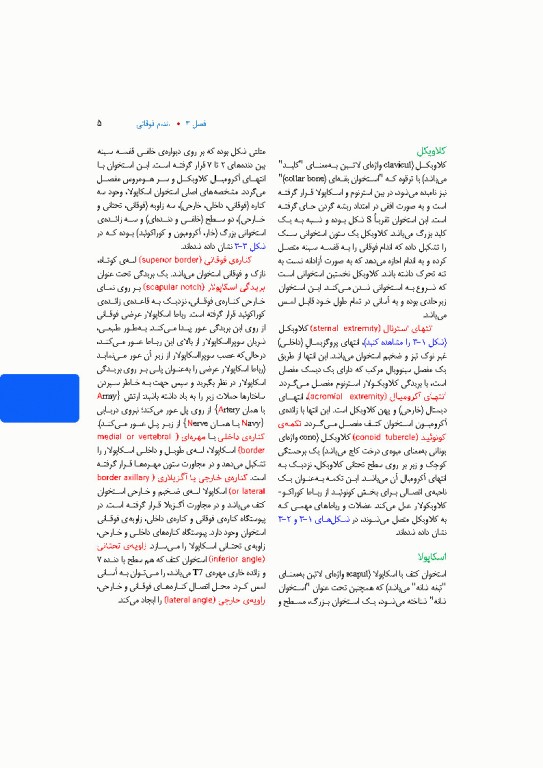 آناتومی بالینی اسنل 2025 جلد دوم اندام