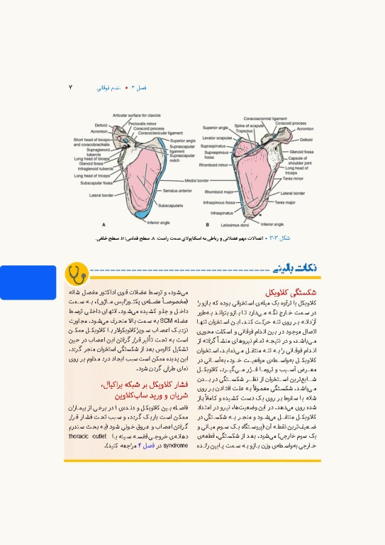 آناتومی بالینی اسنل 2025 جلد دوم اندام