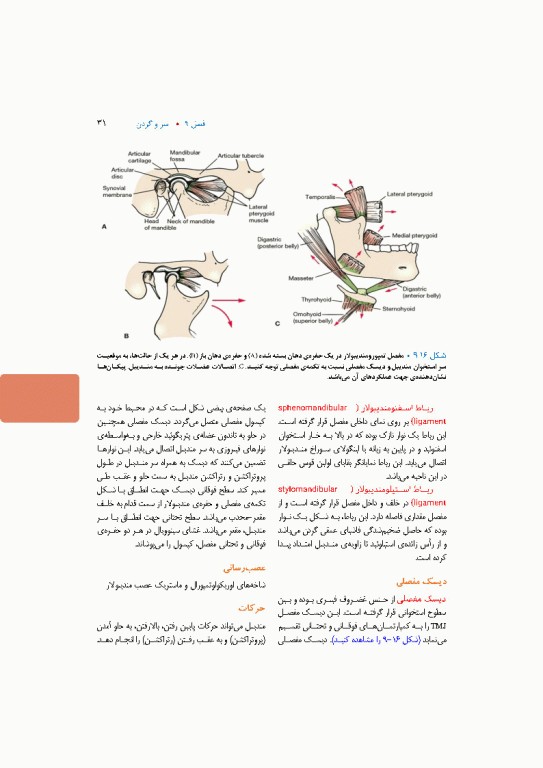 آناتومی بالینی اسنل 2025 جلد سوم سروگردن
