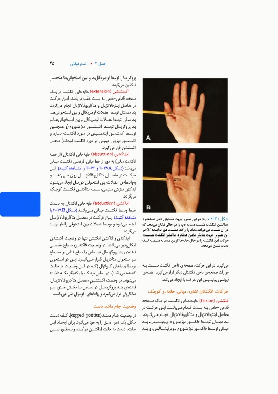 آناتومی بالینی اسنل 2025 جلد دوم اندام