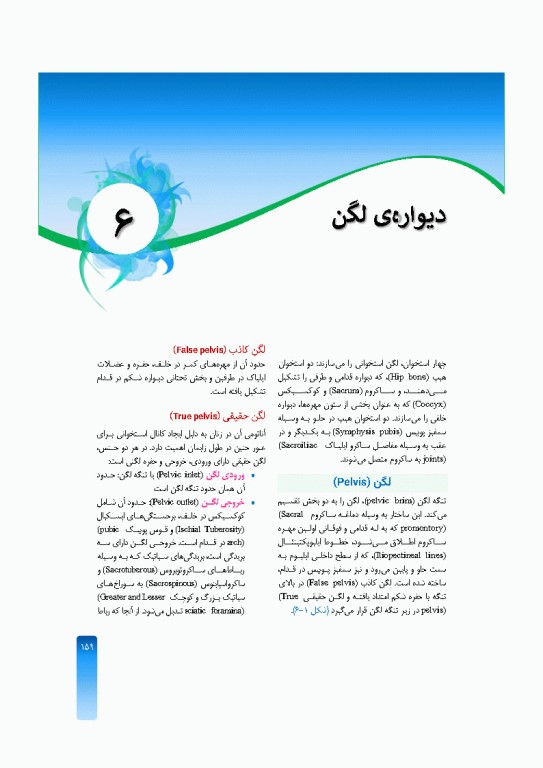 خلاصه‌ آناتومی اسنل 2025 تنه، اندام، سر و گردن