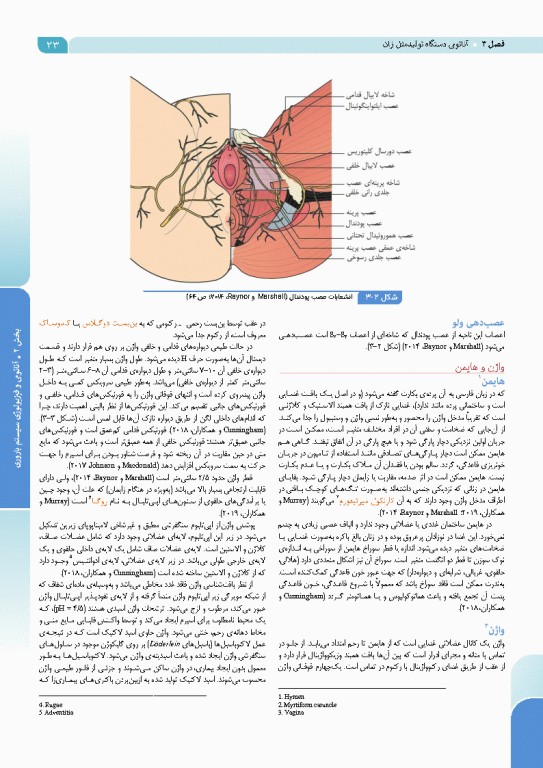 درسنامه بارداری و زایمان براساس برنامه آموزشی کارشناسی و کارشناسی ارشد مامایی