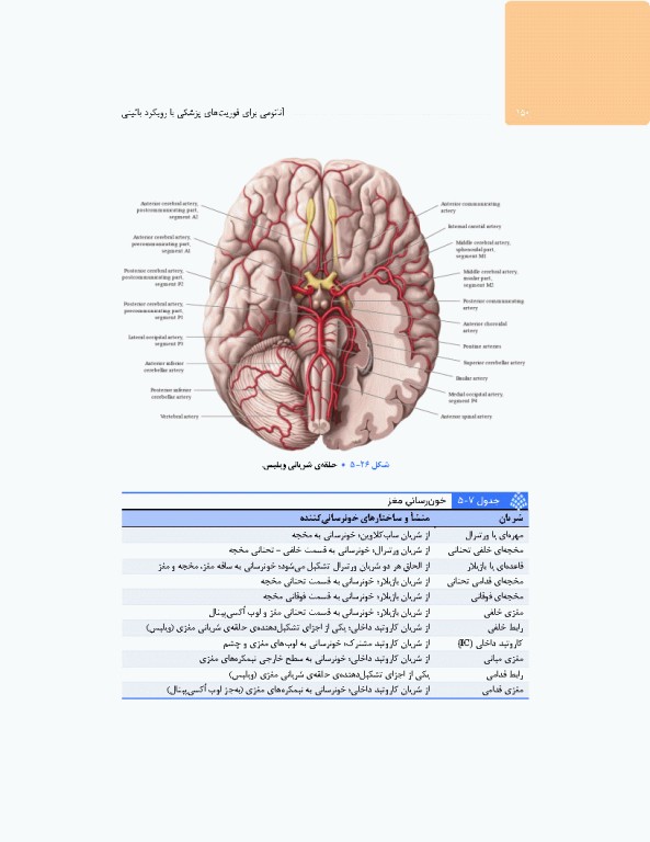آناتومی برای فوریت‌های پزشکی با رویکرد بالینی