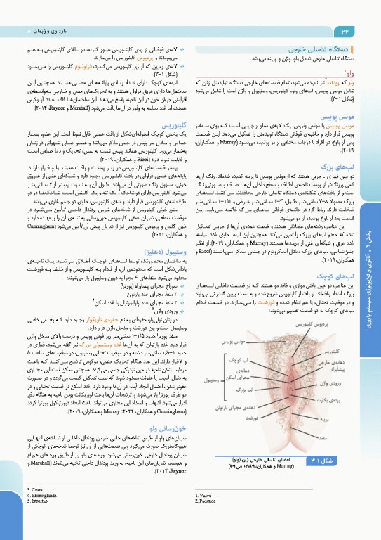 درسنامه بارداری و زایمان براساس برنامه آموزشی کارشناسی و کارشناسی ارشد مامایی