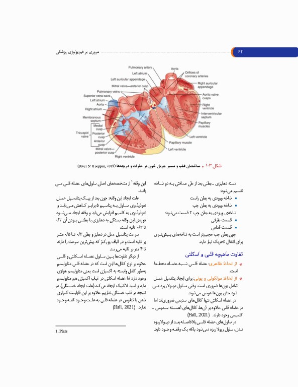 مروری بر فیزیولوژی پزشکی