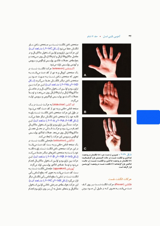 آناتومی بالینی اسنل 2025 جلد دوم اندام