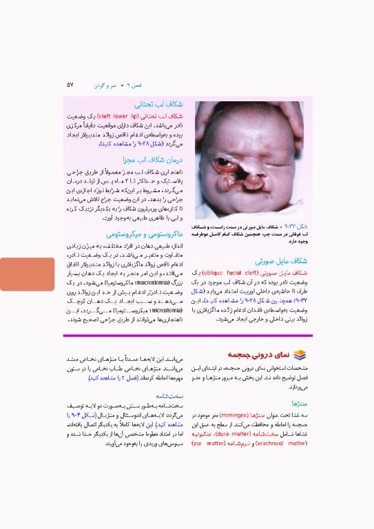 آناتومی بالینی اسنل 2025 جلد سوم سروگردن