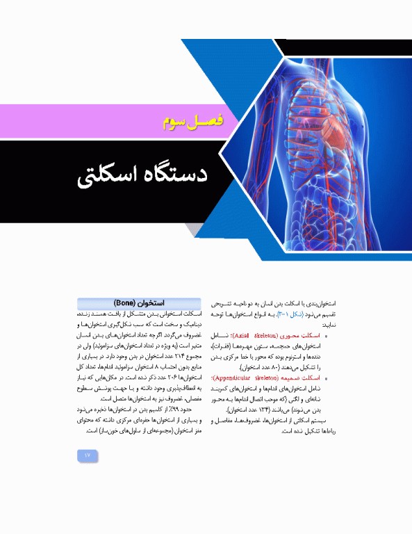 آناتومی برای فوریت‌های پزشکی با رویکرد بالینی