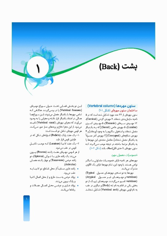 خلاصه‌ آناتومی اسنل 2025 تنه، اندام، سر و گردن