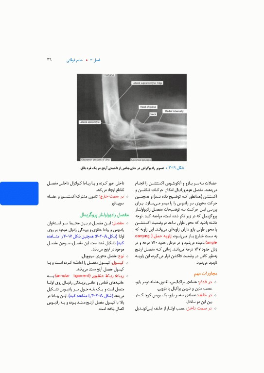 آناتومی بالینی اسنل 2025 جلد دوم اندام