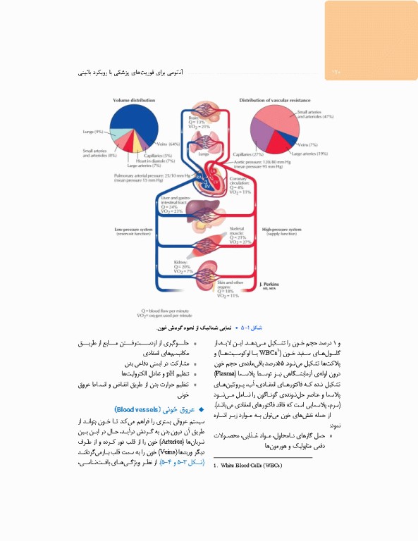 آناتومی برای فوریت‌های پزشکی با رویکرد بالینی