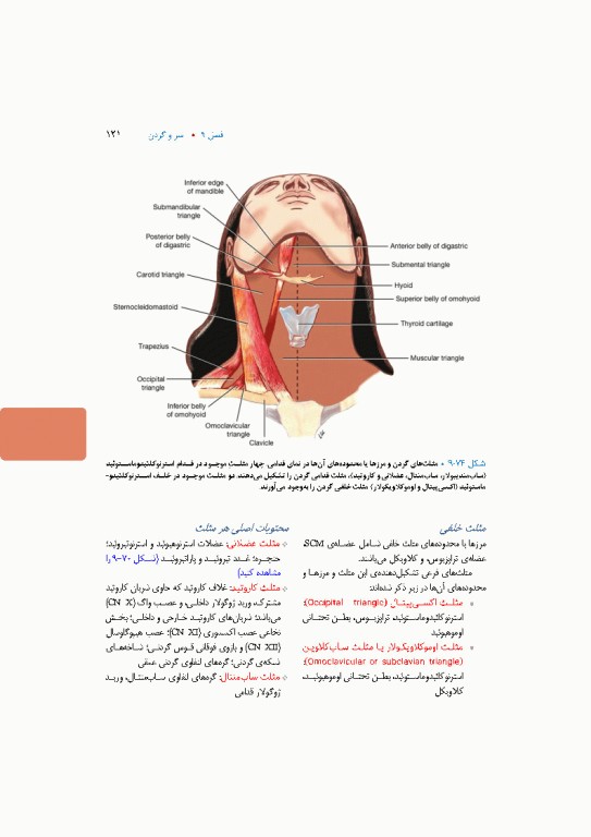 آناتومی بالینی اسنل 2025 جلد سوم سروگردن