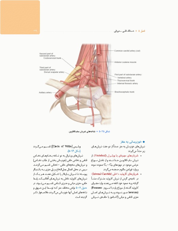 آناتومی برای فوریت‌های پزشکی با رویکرد بالینی