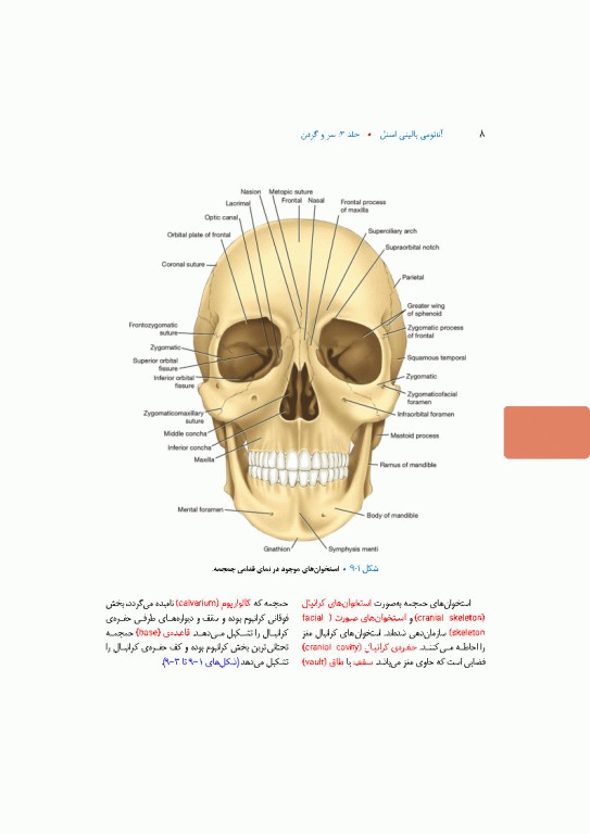آناتومی بالینی اسنل 2025 جلد سوم سروگردن