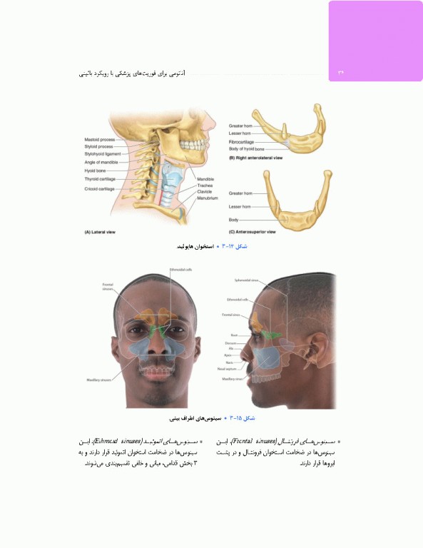 آناتومی برای فوریت‌های پزشکی با رویکرد بالینی