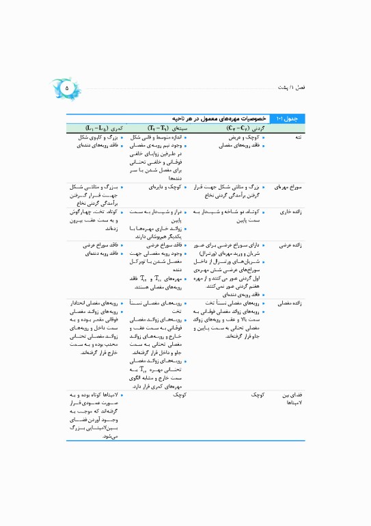 خلاصه‌ آناتومی اسنل 2025 تنه، اندام، سر و گردن