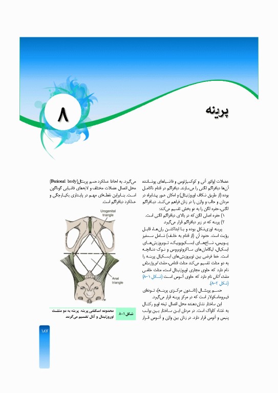 خلاصه‌ آناتومی اسنل 2025 تنه، اندام، سر و گردن