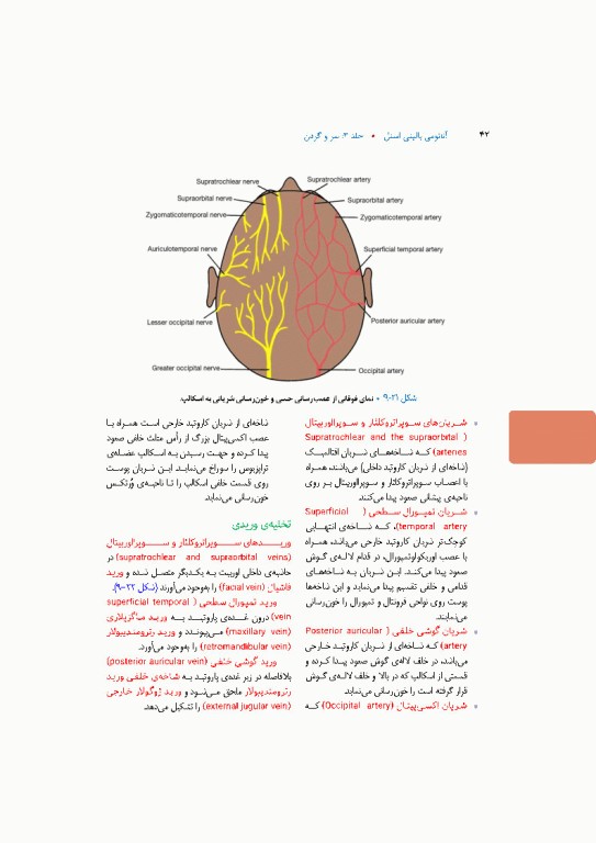 آناتومی بالینی اسنل 2025 جلد سوم سروگردن