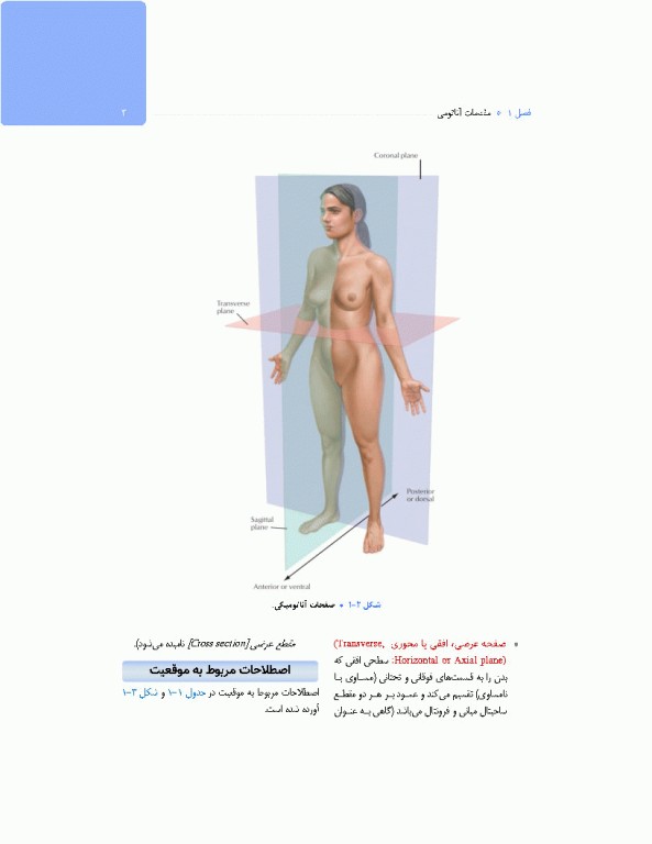 آناتومی برای فوریت‌های پزشکی با رویکرد بالینی