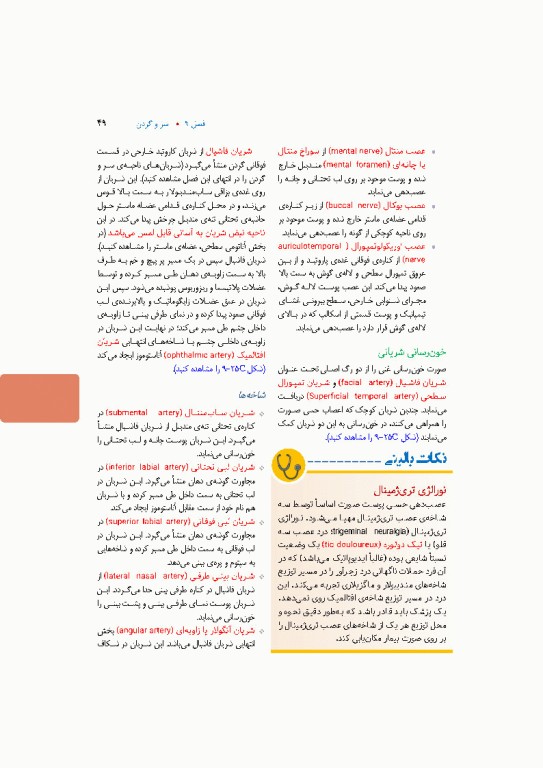 آناتومی بالینی اسنل 2025 جلد سوم سروگردن