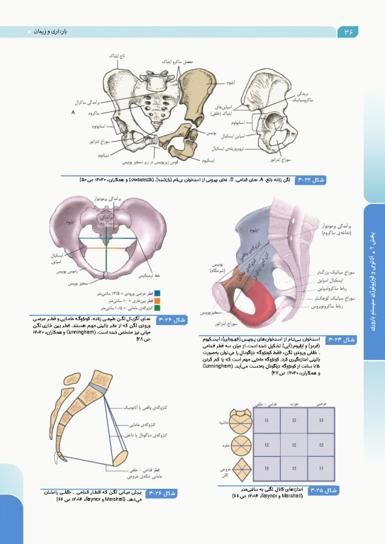 درسنامه بارداری و زایمان براساس برنامه آموزشی کارشناسی و کارشناسی ارشد مامایی
