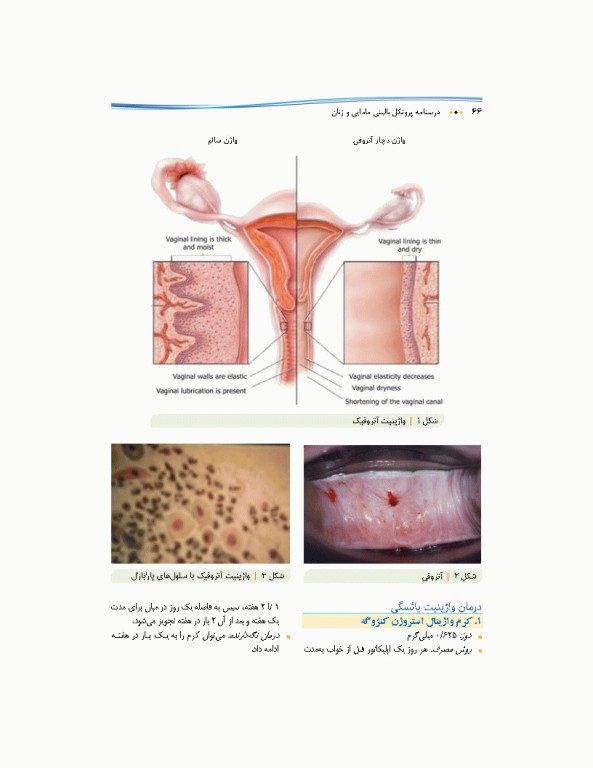 درسنامه پروتکل بالینی مامایی و زنان
