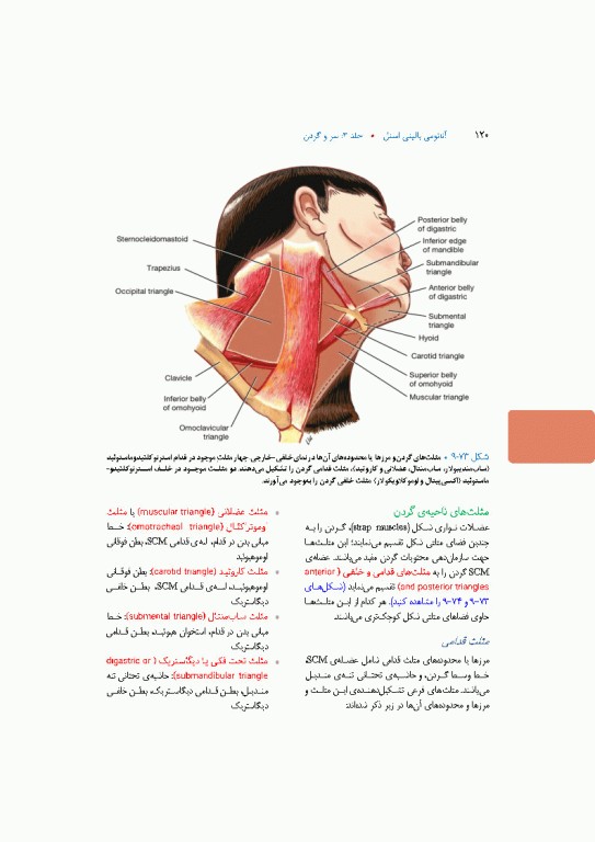 آناتومی بالینی اسنل 2025 جلد سوم سروگردن