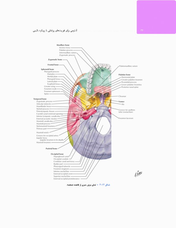 آناتومی برای فوریت‌های پزشکی با رویکرد بالینی
