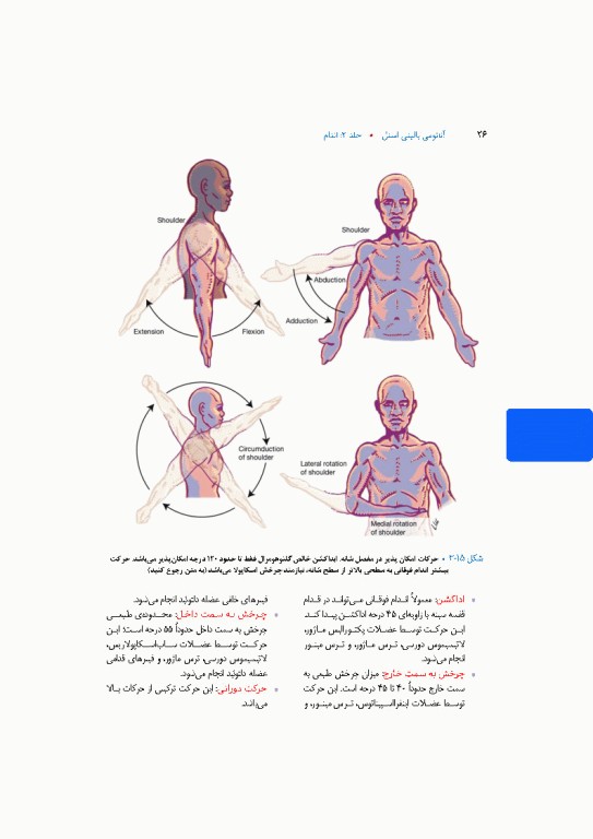آناتومی بالینی اسنل 2025 جلد دوم اندام