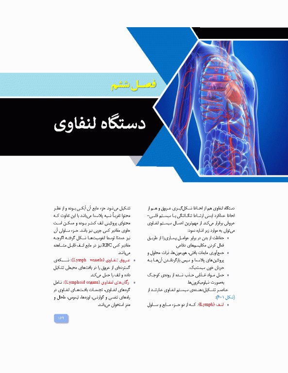 آناتومی برای فوریت‌های پزشکی با رویکرد بالینی
