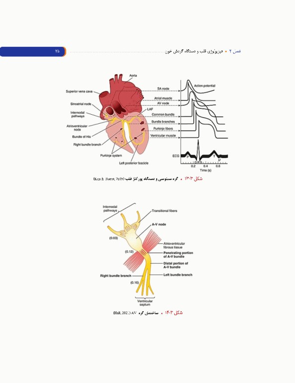 مروری بر فیزیولوژی پزشکی
