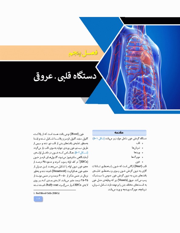 آناتومی برای فوریت‌های پزشکی با رویکرد بالینی