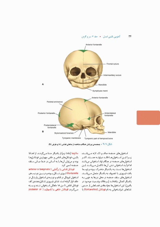 آناتومی بالینی اسنل 2025 جلد سوم سروگردن