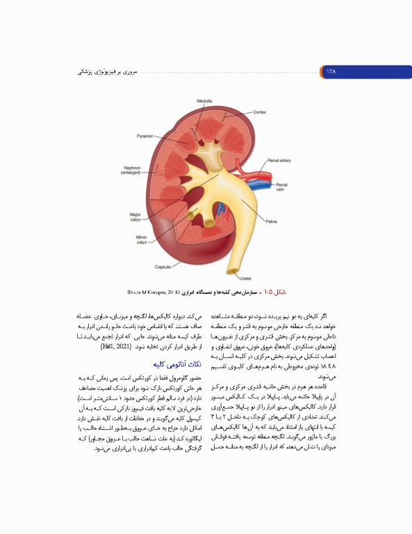مروری بر فیزیولوژی پزشکی