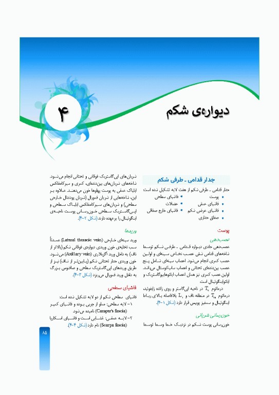 خلاصه‌ آناتومی اسنل 2025 تنه، اندام، سر و گردن